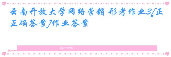 云南开放大学网络营销 形考作业3[正确答案]作业答案