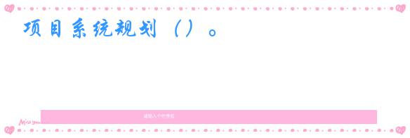 项目系统规划（）。