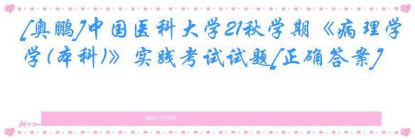 [奥鹏]中国医科大学21秋学期《病理学(本科)》实践考试试题[正确答案]