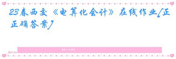23春西交《电算化会计》在线作业[正确答案]