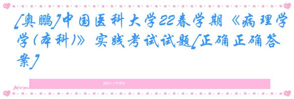 [奥鹏]中国医科大学22春学期《病理学(本科)》实践考试试题[正确正确答案]